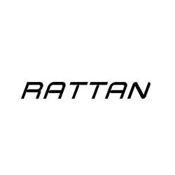 Rattan Ebike